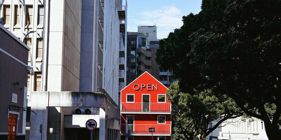 Cape Town: Art, Culture & History Walking Tour - Company’s Garden and Parliament