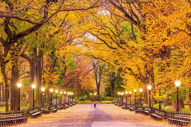 Central Park Guided Walking Tour - Key points to know before booking
