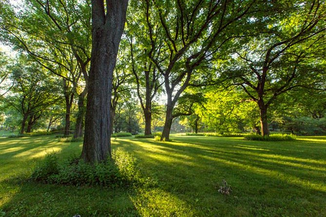 Central Park Guided Walking Tour - How strenuous is the walking?
