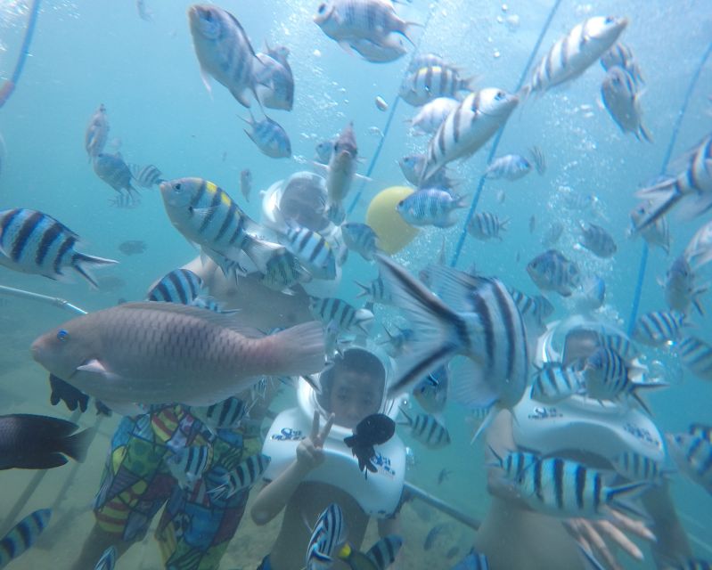 Cham Island: Underwater Walking & Snorkeling Tour - The sea walk is the reason to choose this tour