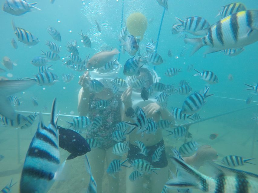 Cham Island: Underwater Walking & Snorkeling Tour - From Hoi An to Cua Dai Wharf