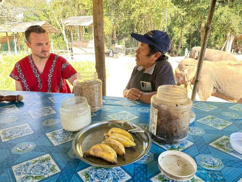Chiang Mai Untouched Elephant: Nature Walk & Waterfall Trek - Lunch with local families