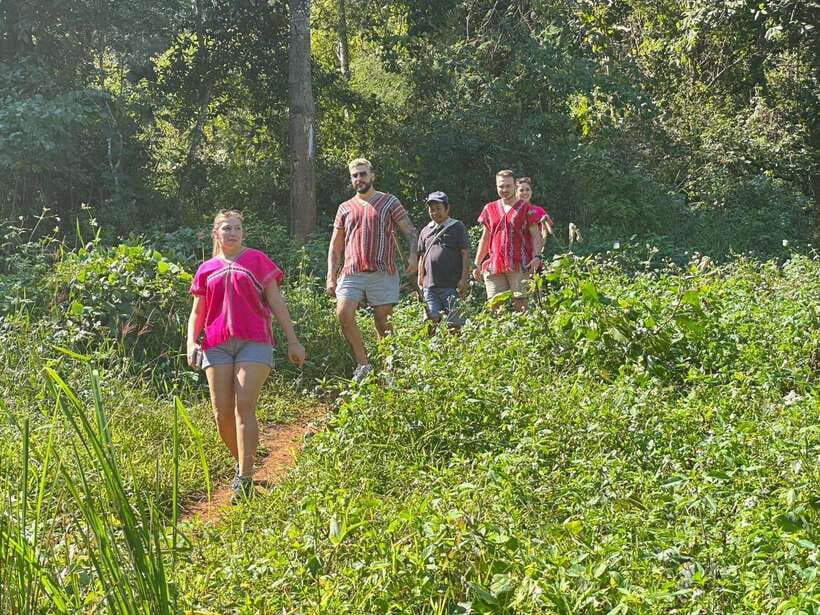 Chiang Mai Untouched Elephant: Nature Walk & Waterfall Trek - What the flexible schedule really means