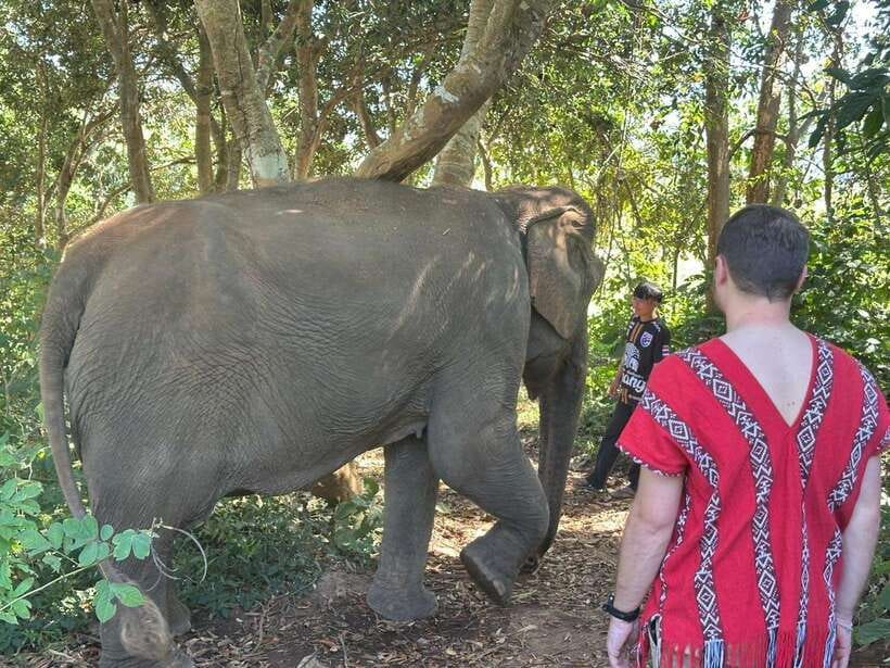 Chiang Mai Untouched Elephant: Nature Walk & Waterfall Trek - The ride from Chiang Mai matters