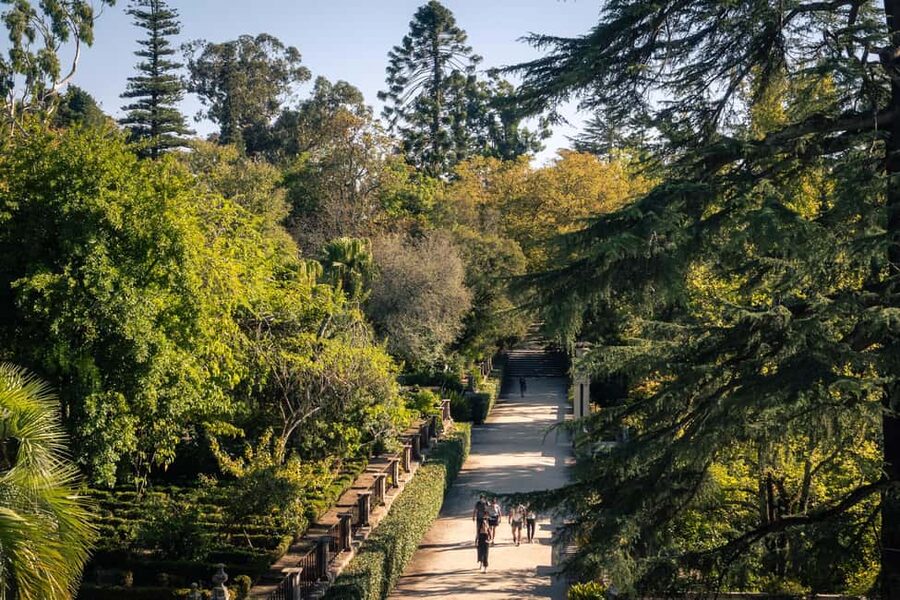 Coimbra: Private & Flexible Walking Tour in Historic Center - Is $10 a good value for Coimbra?
