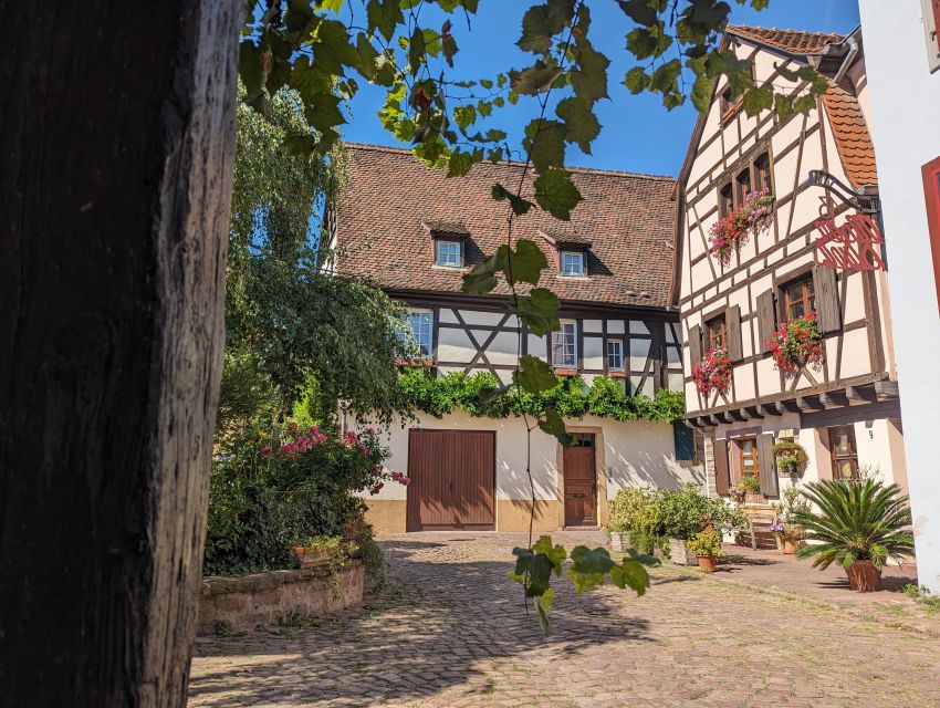 Colmar: Unusual Walking Tour with a local guide - Medieval Colmar through local stories