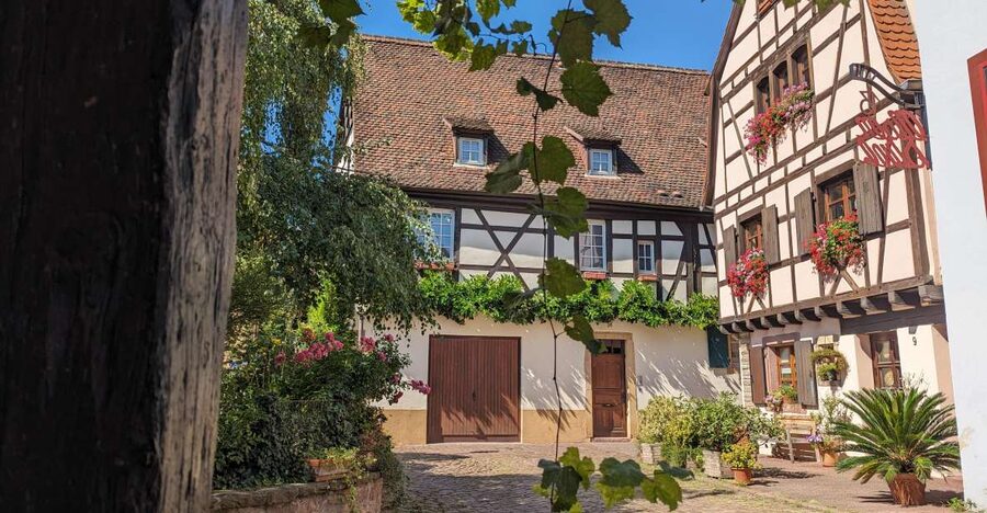 Colmar: Unusual Walking Tour with a local guide - Starting at the Bruat Fountain in Champ de Mars