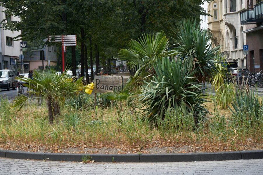Cologne: Südstadt Guided Foodie Walking Tour - Who will enjoy this Südstadt food walk?
