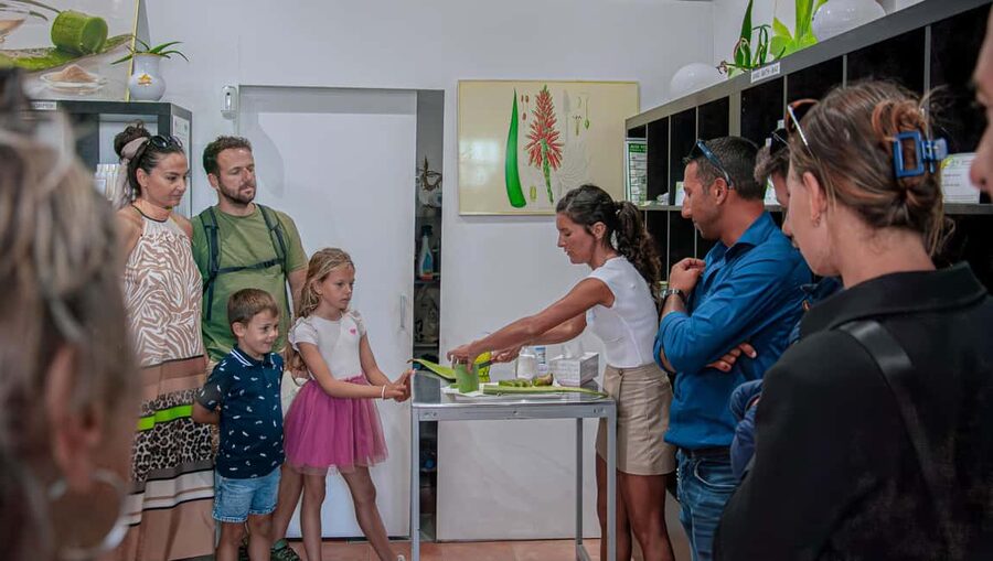 Corralejo: Walking tour with tastings of local products - Who should book this Corralejo food walk?