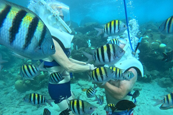 Curacao Helmet Diving-Walk the Ocean Floor, No Swimming Required - Walking the marked route with fish around you