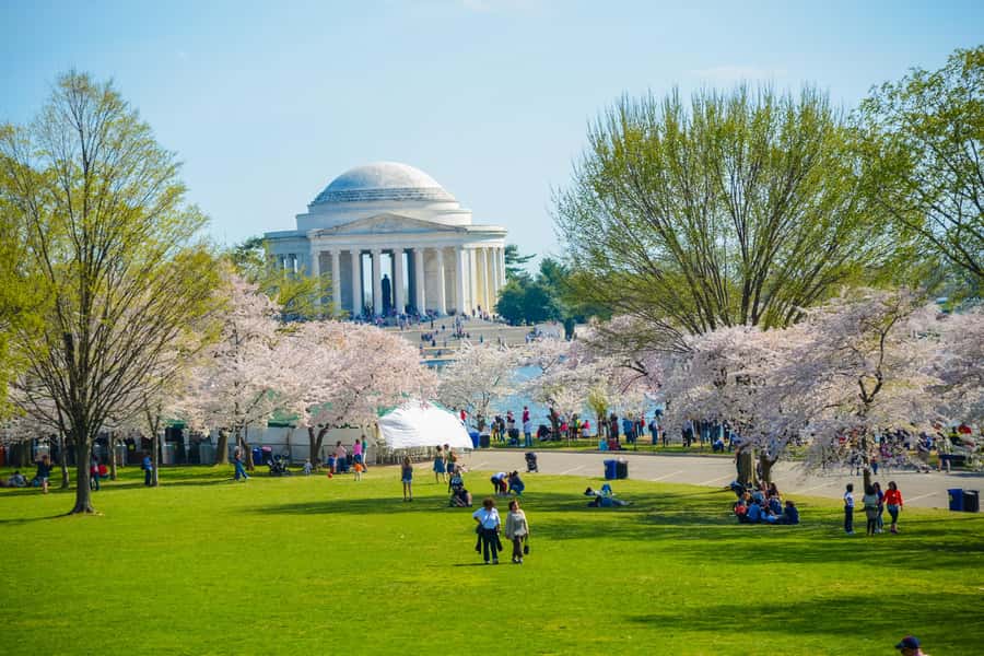 DC: Hop-On Hop-Off with 17 Stops plus Arlington Walking Tour - Why this bus works well in Washington DC
