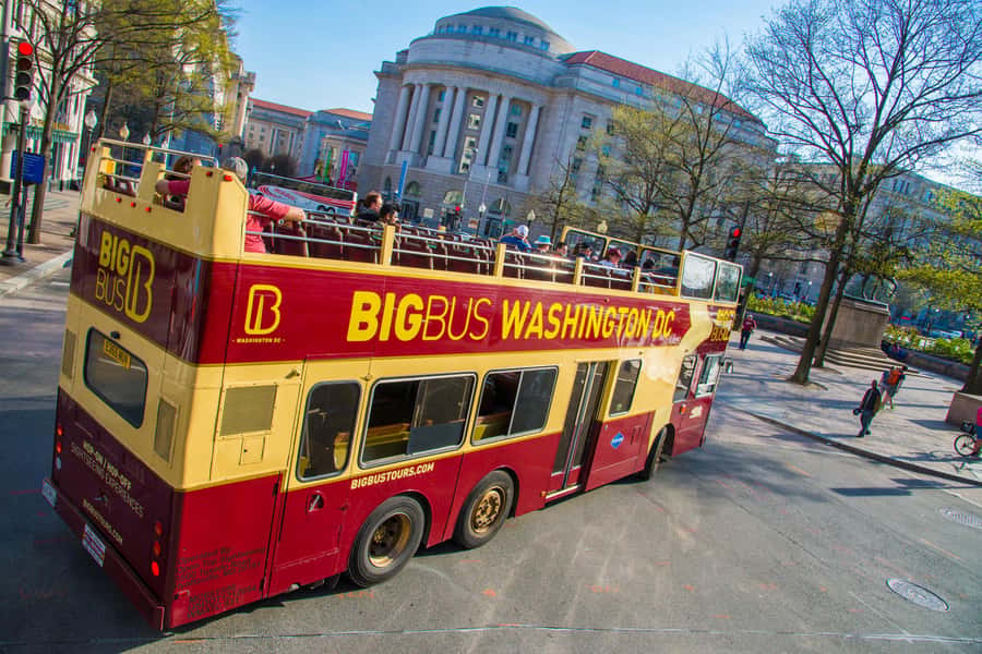 DC: Hop-On Hop-Off with 17 Stops plus Arlington Walking Tour - Price, extras, and practical value