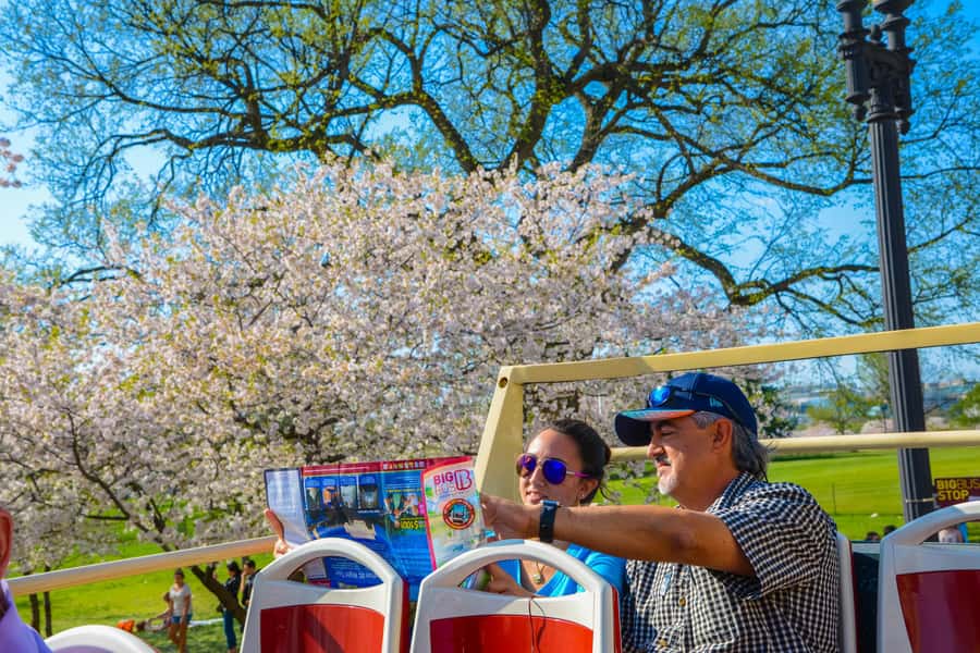 DC: Hop-On Hop-Off with 17 Stops plus Arlington Walking Tour - Who should take this tour