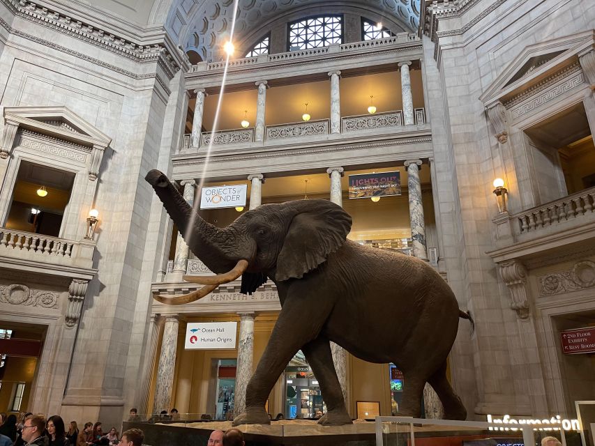 DC: Smithsonian Highlights Walking Tour with Air and Space - Air and Space: the tour’s grand finale