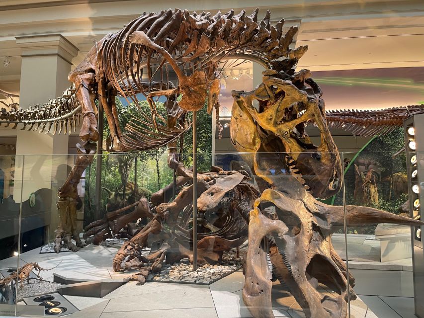 DC: Smithsonian Highlights Walking Tour with Air and Space - Why the guide matters here
