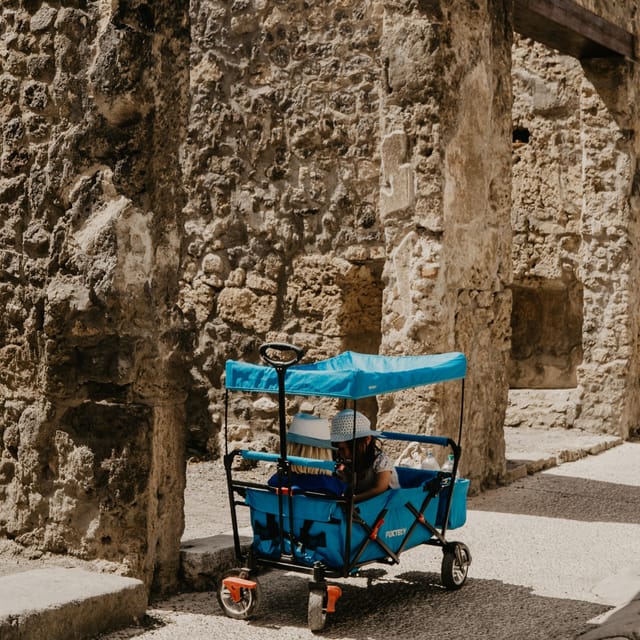 Discover Pompeii: French Walking Tour of the Buried City - Walking through the buried city in French