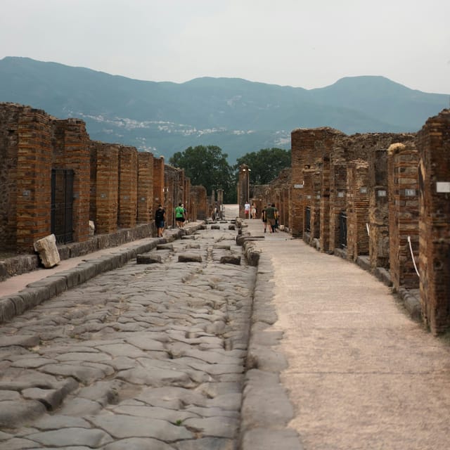 Discover Pompeii: French Walking Tour of the Buried City - What makes the guides important