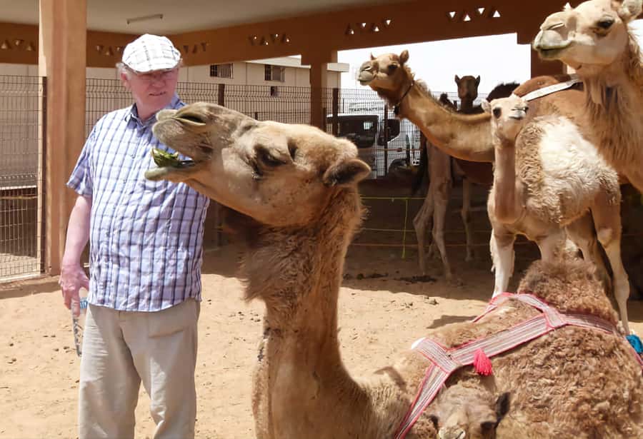 Dubai: Old City Walking Tour with Abra Ride - Key points to know before booking
