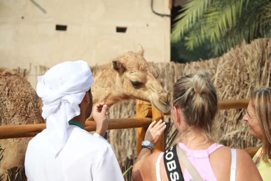 Dubai: Old City Walking Tour with Abra Ride - Why this tour is a useful introduction to Dubai