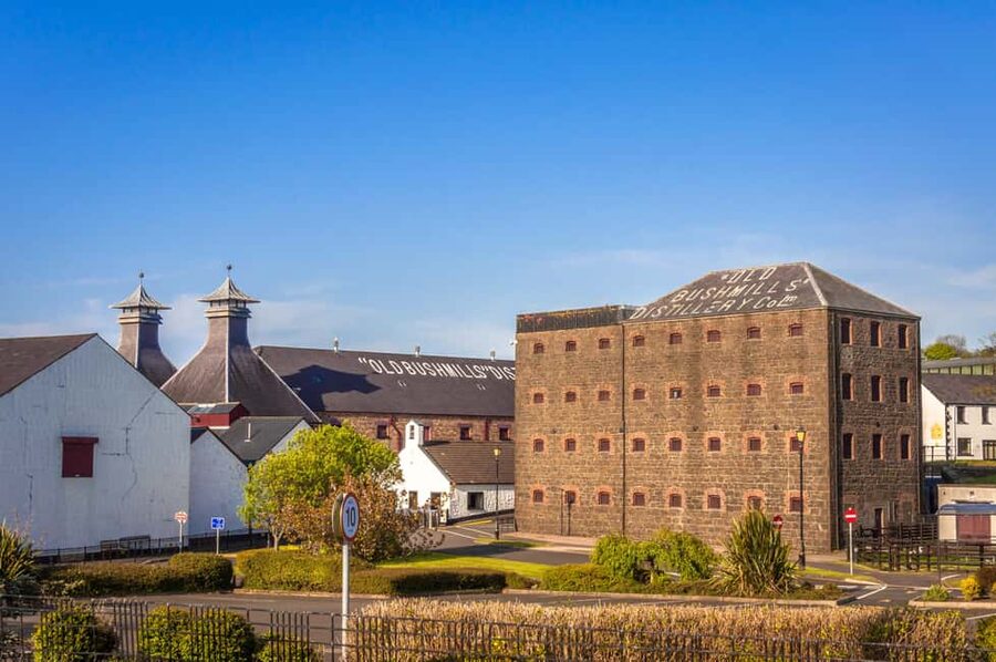 Dublin: Belfast Walk, Dunluce Castle & Giant’s Causeway - Who will enjoy this tour most