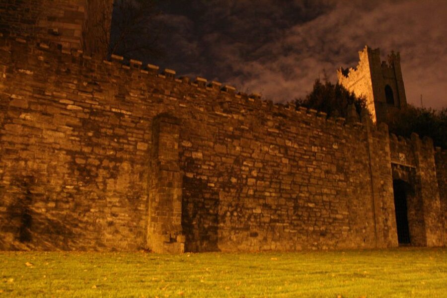 Dublin's Haunted History Walking Tour - What the guides do best