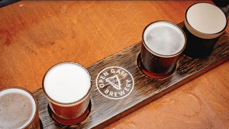 Dublin: Traditional Pubs Walking Tour with Local Guide - Practical details for a smoother evening
