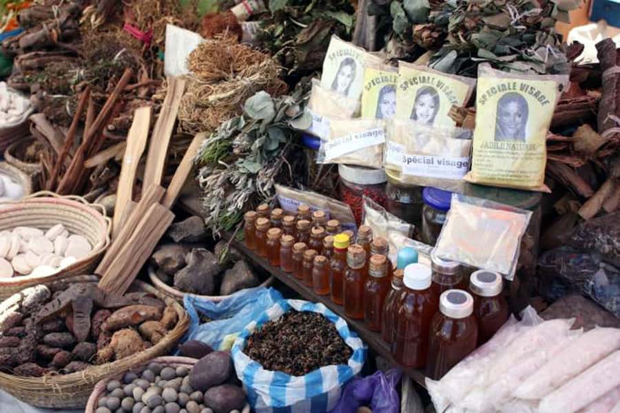 Durban: City Sightseeing and Walking Tour - The Golden Mile and uShaka Village Walk