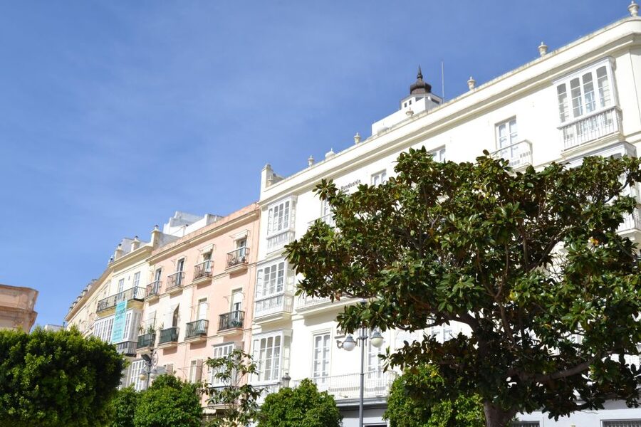 English Cádiz Tour: Walking Tour with Local Guide - What the two hours feel like