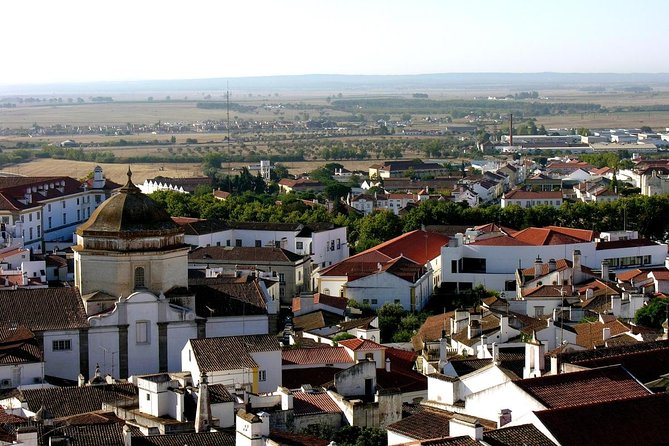 Évora: Private walking tour with tickets to main monuments - Key points to know before booking
