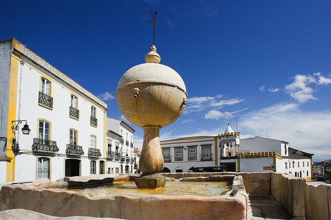 Évora: Private walking tour with tickets to main monuments - Why this private Évora walk works so well
