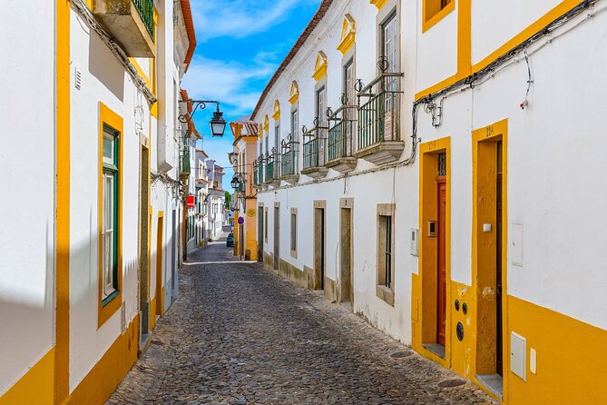 Évora: Private walking tour with tickets to main monuments - The Roman Temple and Évora’s long timeline