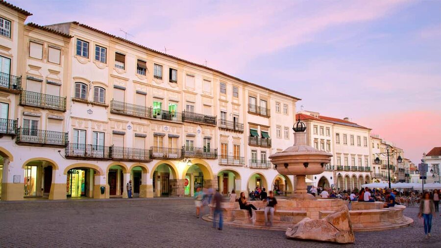 Évora: Private walking tour with tickets to main monuments - Which guide style might suit you?