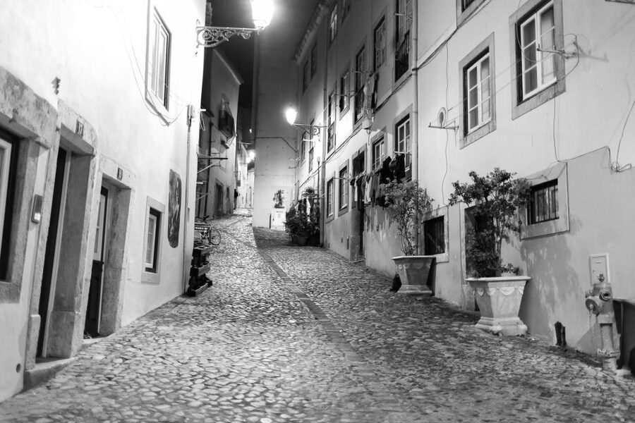 Fado: Musical Walking Tour with Food & Live Show - Walking conditions and practical planning
