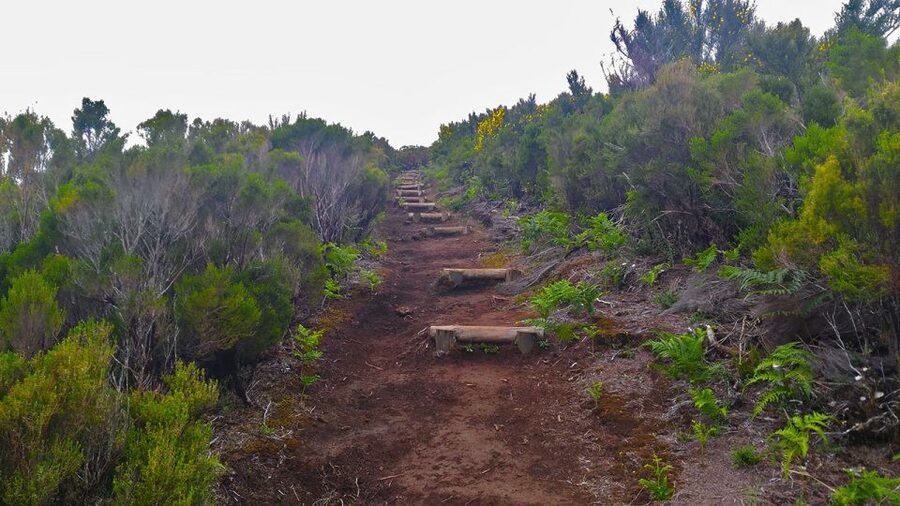 Fanal / Assobiadores - Levada Walk - The viewpoints over Ribeira da Janela and Chão da Ribeira