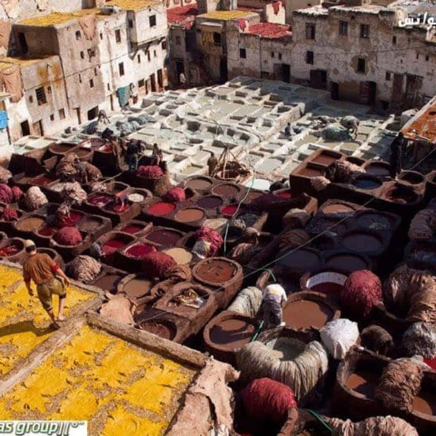 Fes: A Guided Walking Tour Through the Historic Medina - Nejjarine Museum and the craft of wood