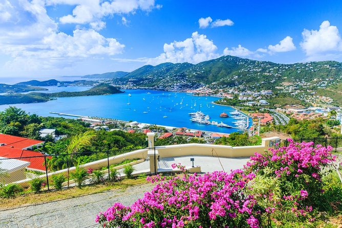 Flavors of St Thomas Walking Food Tour - Starting beside Fort Christian at 11 a.m.