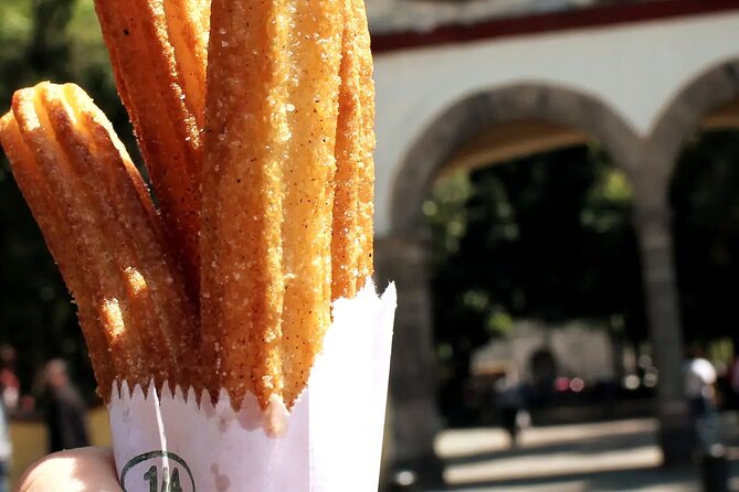 Frida Kahlo VIP [Museum Tickets Included] Walk, Markets & Churros - What the guides add to the walk