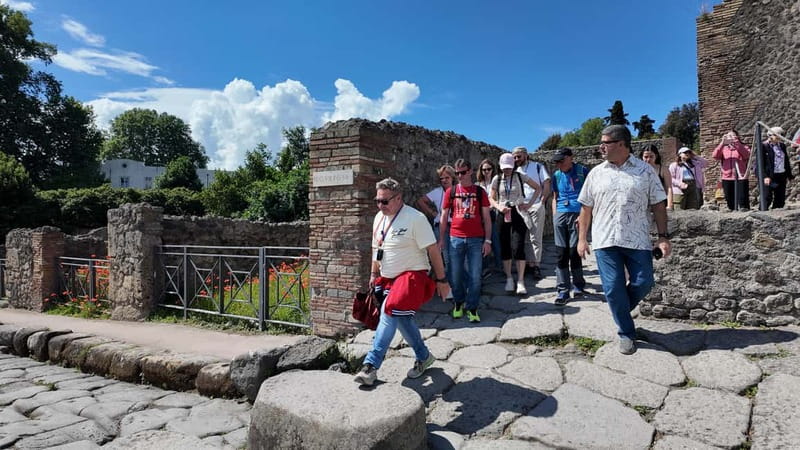 From Naples: Guided tour of Pompeii skip-the-line and round-trip train - The 40-minute train to Pompeii