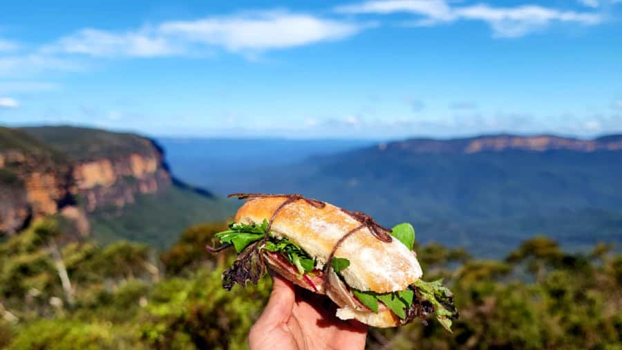 From Sydney: Blue Mountains Tour with Waterfall Walk & Lunch - Should you book it?