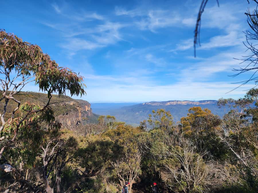 From Sydney: Blue Mountains Tour with Waterfall Walk & Lunch - A full day among waterfalls and lookouts