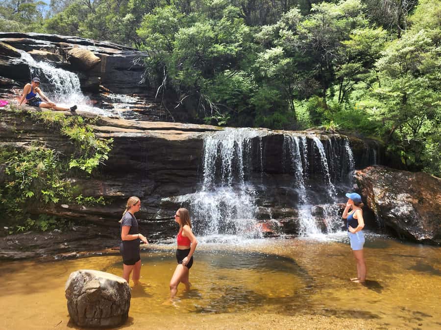 From Sydney: Blue Mountains Tour with Waterfall Walk & Lunch - Lunch, snacks, and what $85 really covers