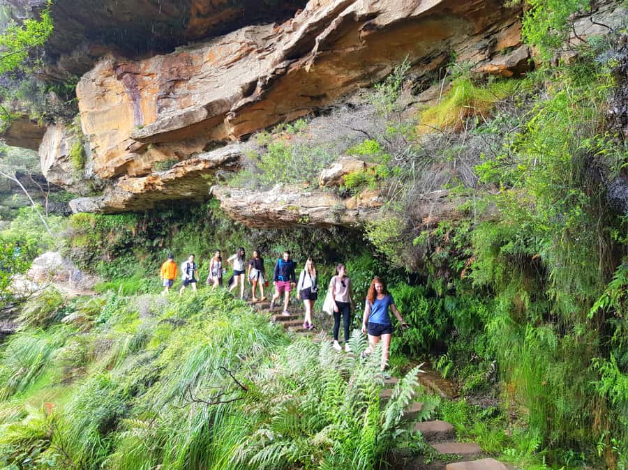 From Sydney: Blue Mountains Tour with Waterfall Walk & Lunch - The early start from Sydney
