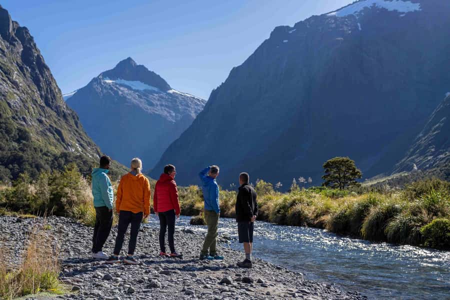 From Te Anau: Milford Sound Coach, Cruise, and Walks - Key points to know before booking