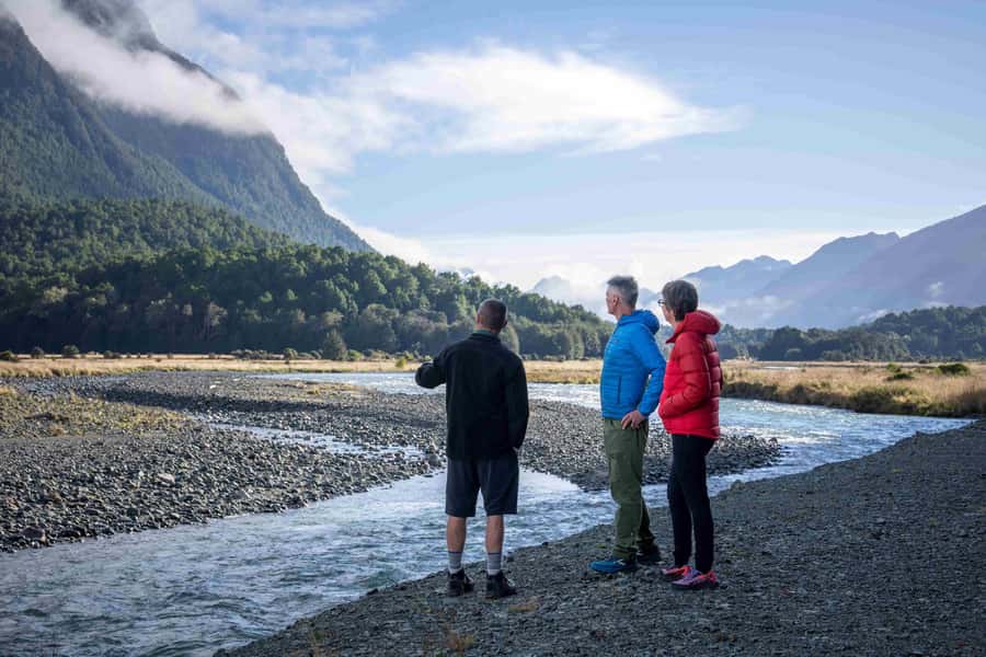 From Te Anau: Milford Sound Coach, Cruise, and Walks - Hollyford Valley, Lake Gunn, and the Marian Gantry