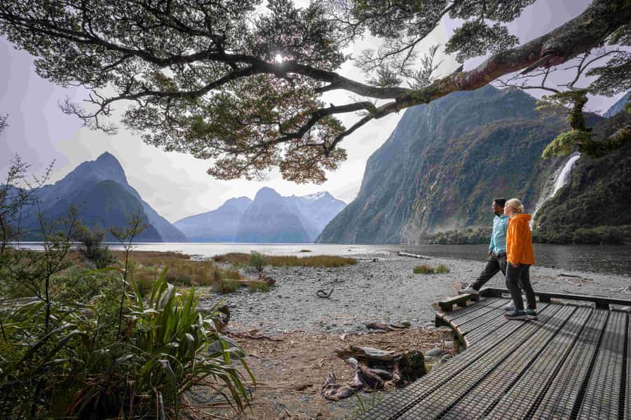 From Te Anau: Milford Sound Coach, Cruise, and Walks - The small-boat cruise at Milford Sound