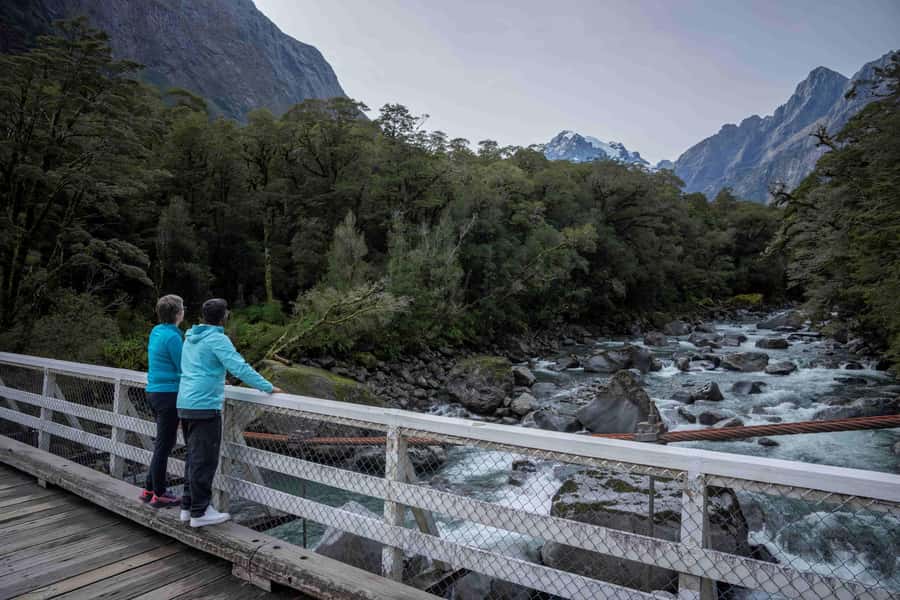 From Te Anau: Milford Sound Coach, Cruise, and Walks - The Milford Road is more than a transfer