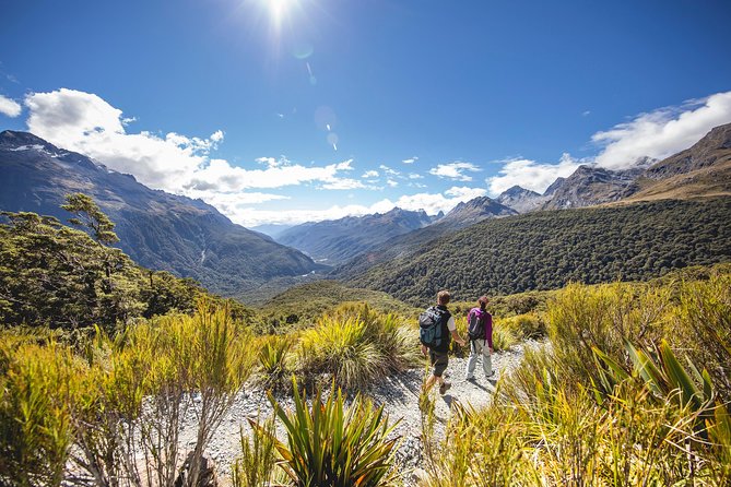 Full-Day Milford Sound Tour with Cruise and Walks from Te Anau - Milford Sound by small boat