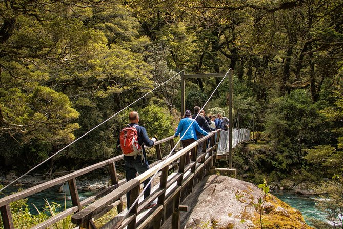 Full-Day Milford Sound Tour with Cruise and Walks from Te Anau - Lunch, pickup, and day-to-day comfort