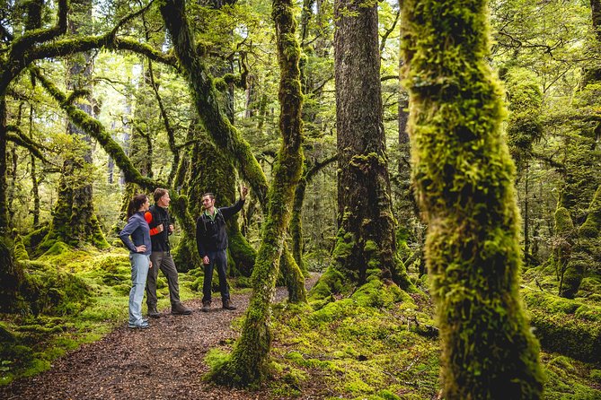 Full-Day Milford Sound Tour with Cruise and Walks from Te Anau - Mirror Lakes and the first Fiordland stops