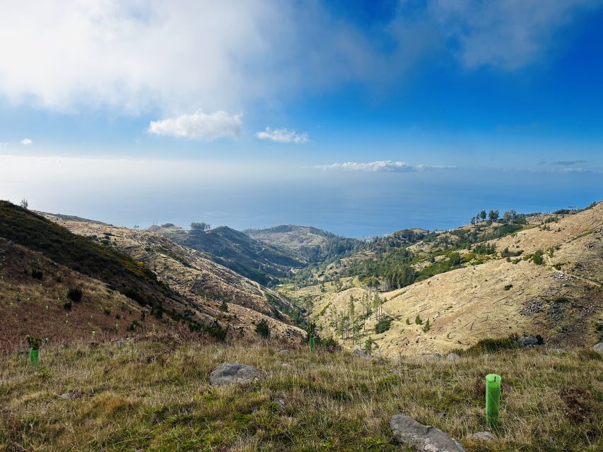Funchal: East Madeira Island Guided Tour & Laurissilva Walk - The guides make a real difference